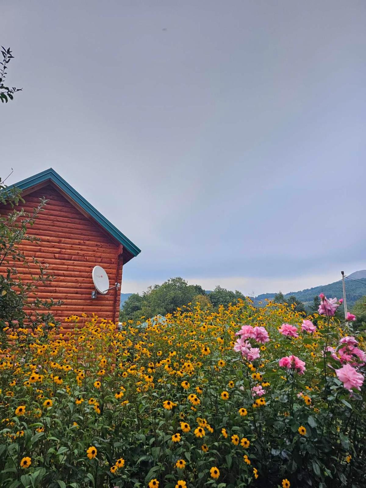 Konaci Oceva Zemlja Bungalovi Konaci Oceva Zemlja Vikendica Мойковац Экстерьер фото