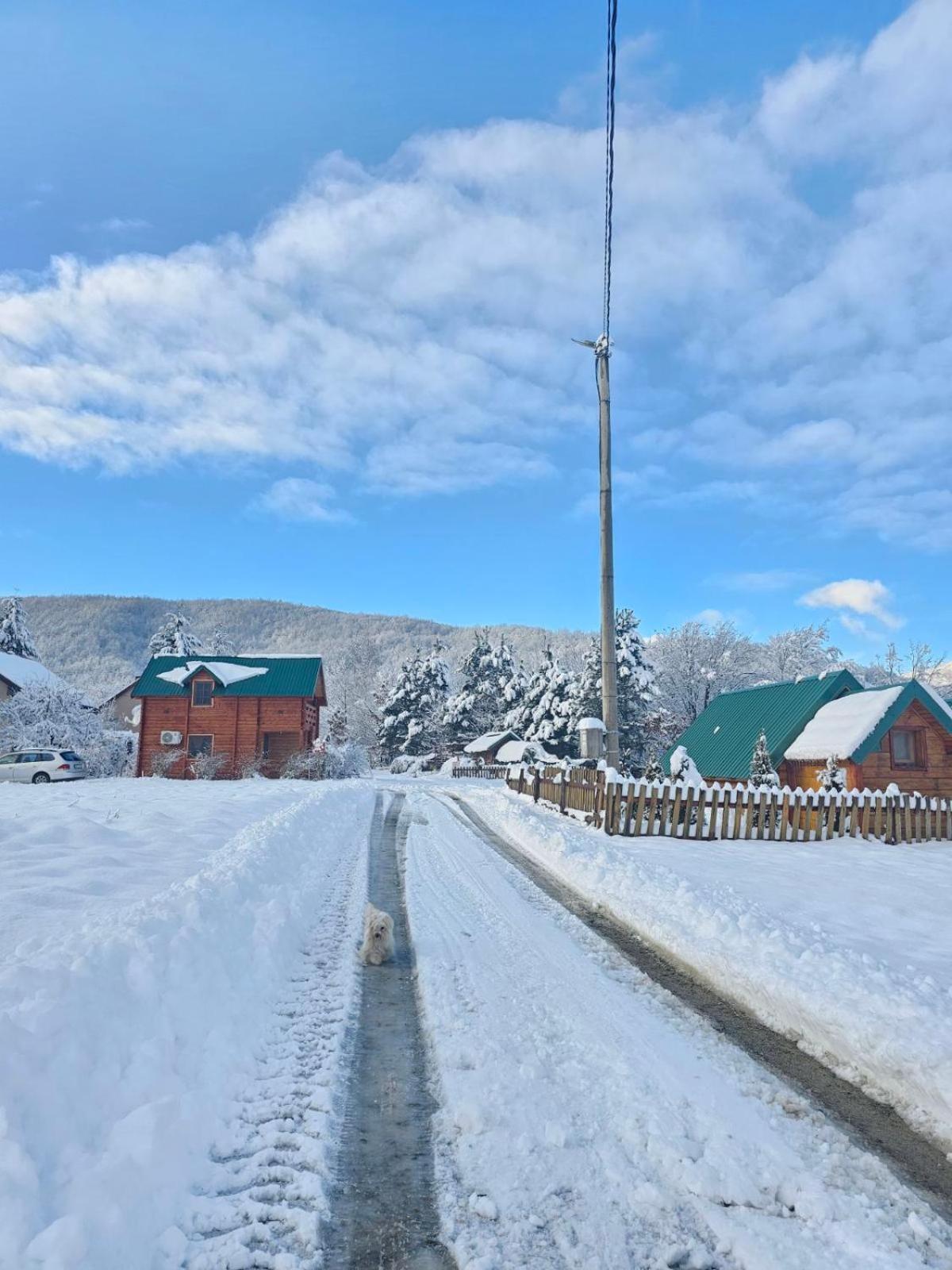 Konaci Oceva Zemlja Bungalovi Konaci Oceva Zemlja Vikendica Мойковац Экстерьер фото