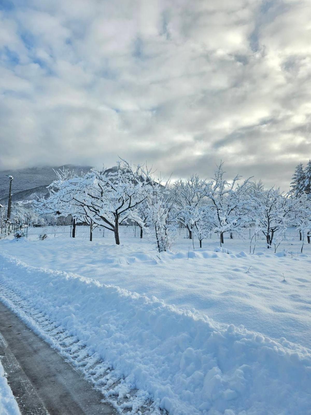 Konaci Oceva Zemlja Bungalovi Konaci Oceva Zemlja Vikendica Мойковац Экстерьер фото